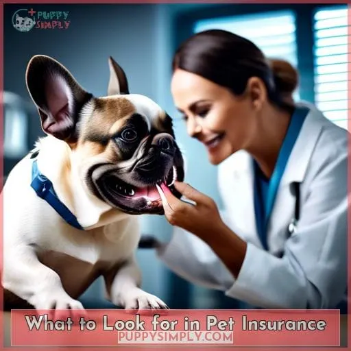 What to Look for in Pet Insurance