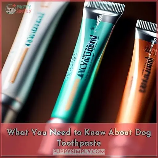 What You Need to Know About Dog Toothpaste