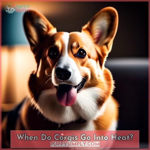 Unveiling Your Corgi's Heat Cycle: Timing, Signs, and Care