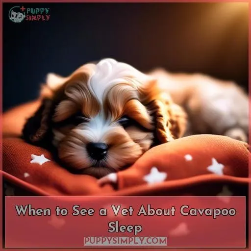 When to See a Vet About Cavapoo Sleep