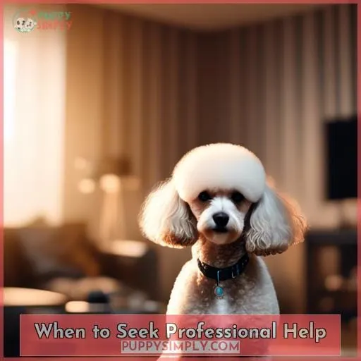 When to Seek Professional Help