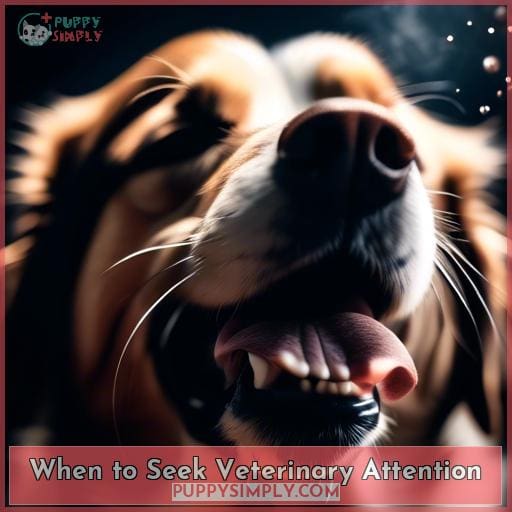 When to Seek Veterinary Attention