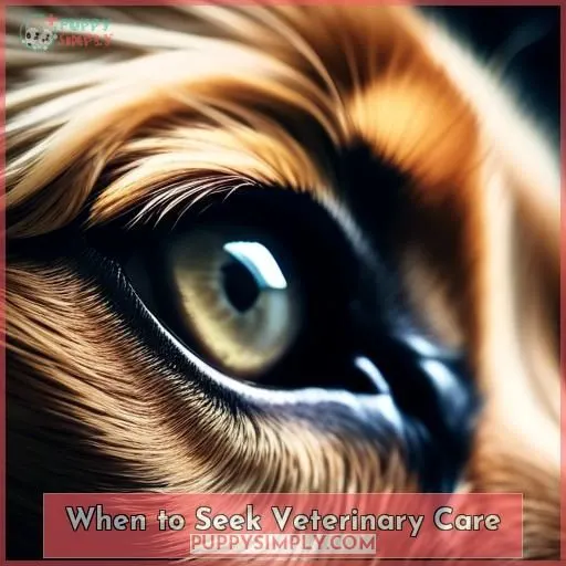 When to Seek Veterinary Care