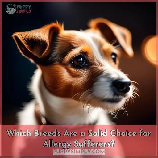 Which Breeds Are a Solid Choice for Allergy Sufferers