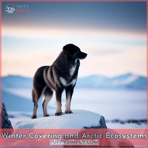 Winter Covering and Arctic Ecosystems