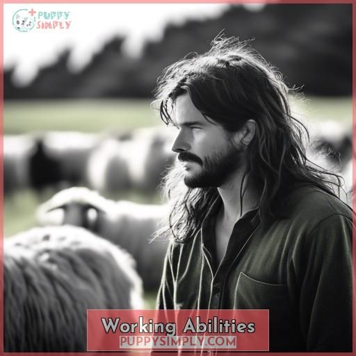 Working Abilities Working Abilities