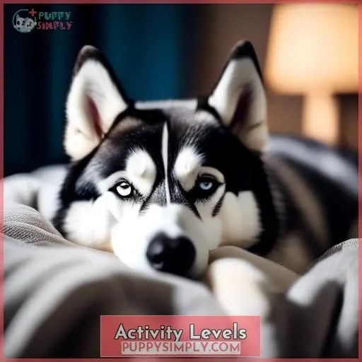 Activity Levels