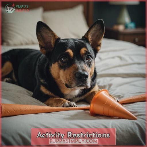 Activity Restrictions