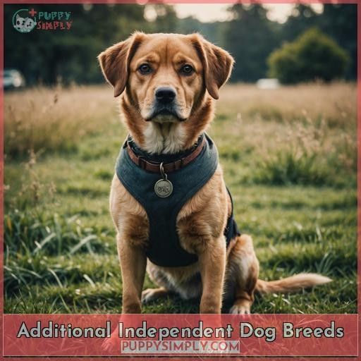 Additional Independent Dog Breeds
