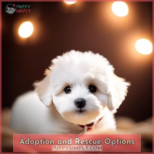 Adoption and Rescue Options