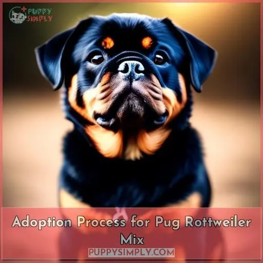 Adoption Process for Pug Rottweiler Mix
