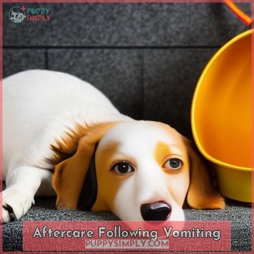 Aftercare Following Vomiting
