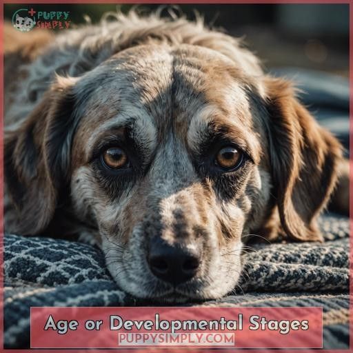 Age or Developmental Stages