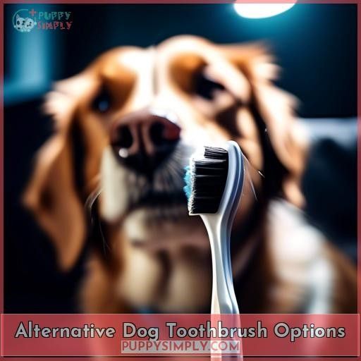 Alternative Dog Toothbrush Options