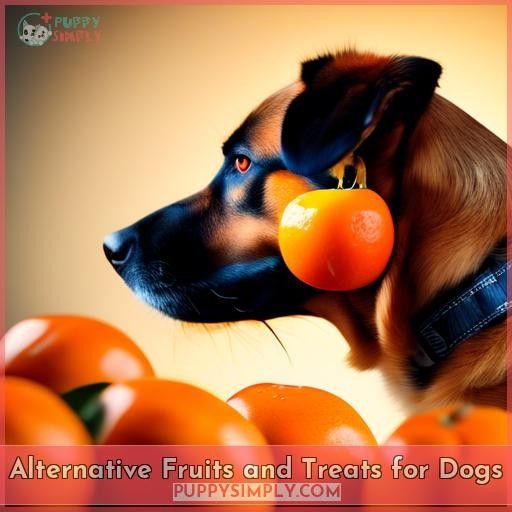 Alternative Fruits and Treats for Dogs