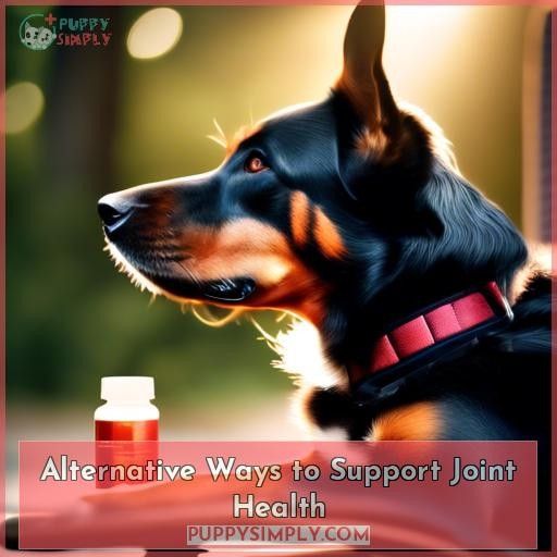 Alternative Ways to Support Joint Health