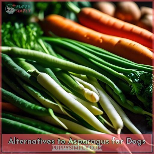 Alternatives to Asparagus for Dogs