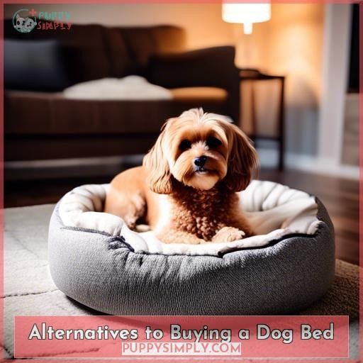Alternatives to Buying a Dog Bed
