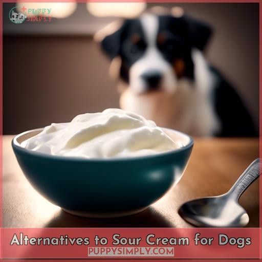 Alternatives to Sour Cream for Dogs