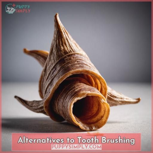 Alternatives to Tooth Brushing