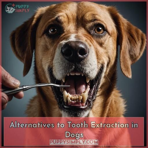 Alternatives to Tooth Extraction in Dogs