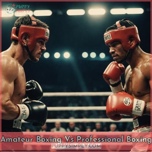 Amateur Boxing Vs Professional Boxing