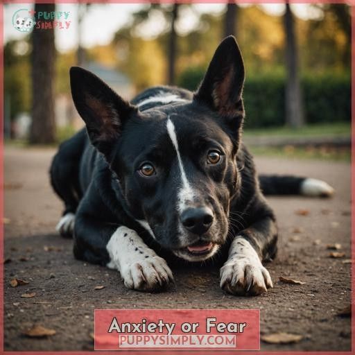 Anxiety or Fear
