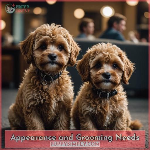 Appearance and Grooming Needs