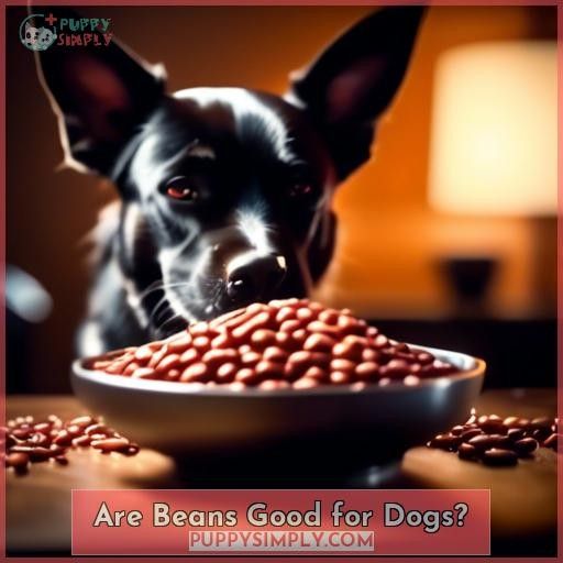 Are Beans Good for Dogs