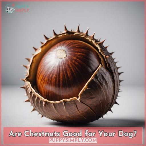 Are Chestnuts Good for Your Dog