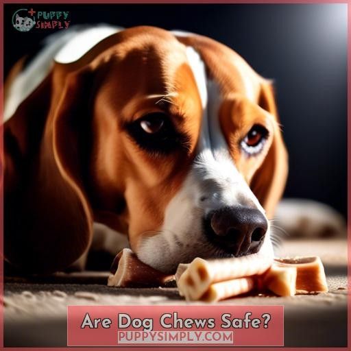 Are Dog Chews Safe