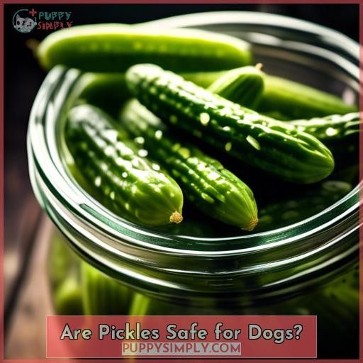 Are Pickles Safe for Dogs