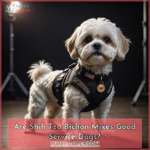 Are Shih Tzu Bichon Mixes Good Service Dogs