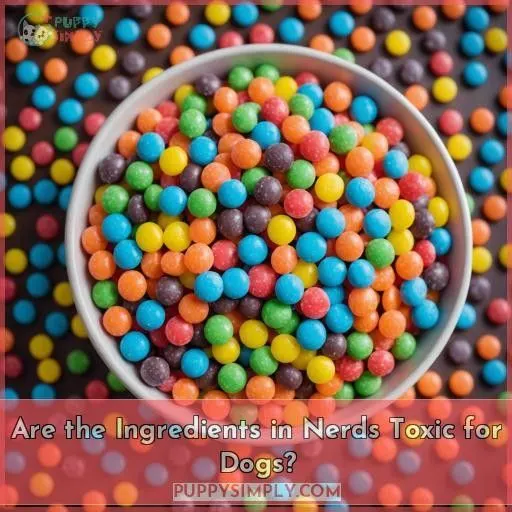 Are the Ingredients in Nerds Toxic for Dogs