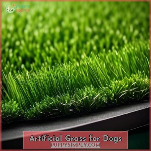 Artificial Grass for Dogs