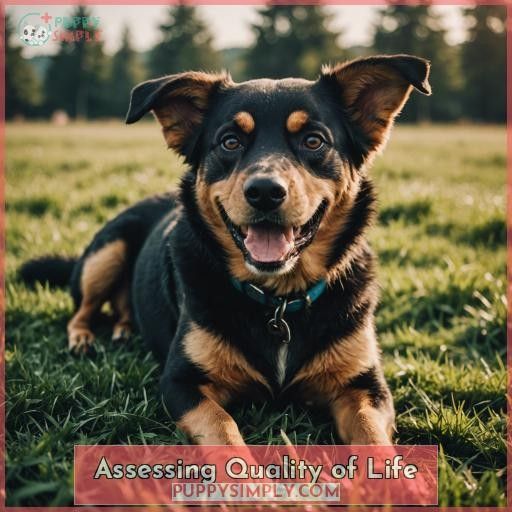 Assessing Quality of Life