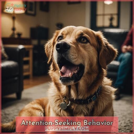Attention-Seeking Behavior