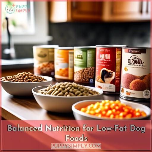 Balanced Nutrition for Low-Fat Dog Foods