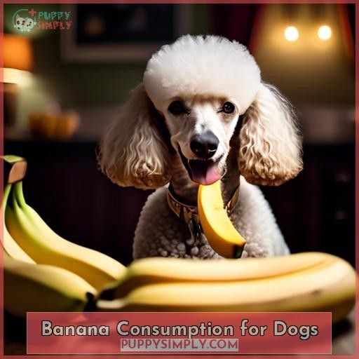 Banana Consumption for Dogs
