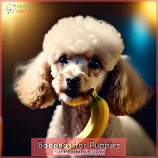 Bananas for Puppies