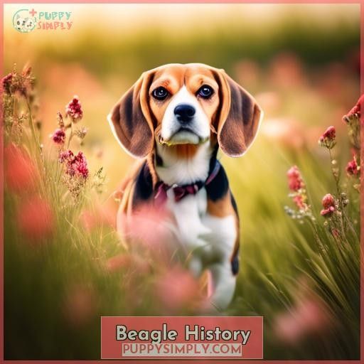 Beagle History