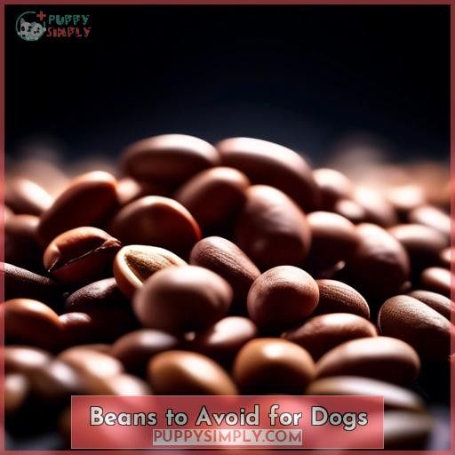 Beans to Avoid for Dogs