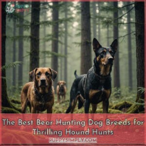bear hunting dog breeds
