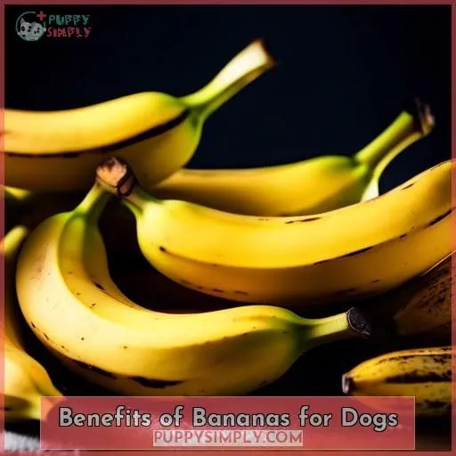 Benefits of Bananas for Dogs