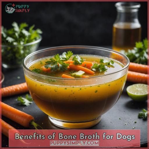 Benefits of Bone Broth for Dogs