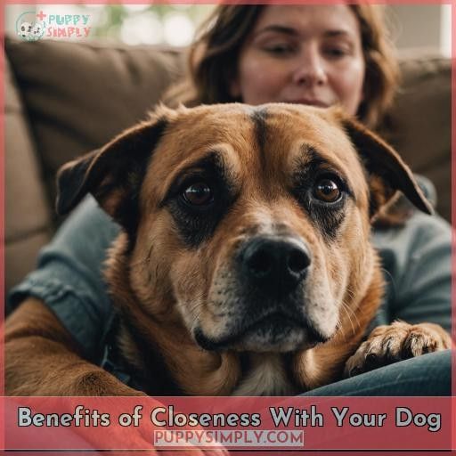 Benefits of Closeness With Your Dog