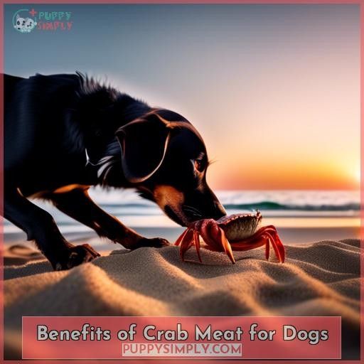 Benefits of Crab Meat for Dogs