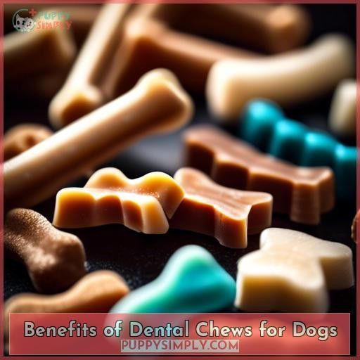 Benefits of Dental Chews for Dogs