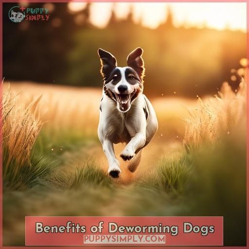 Benefits of Deworming Dogs