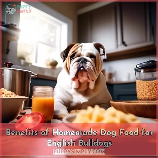 Benefits of Homemade Dog Food for English Bulldogs